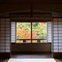 「傳統與現代的優雅～泰泉閣～溫暖舒適的天然溫泉」