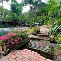 TARA CAFE' Khaoyai