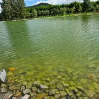 ฮิโนกิแลนด์(HINOKI LAND)