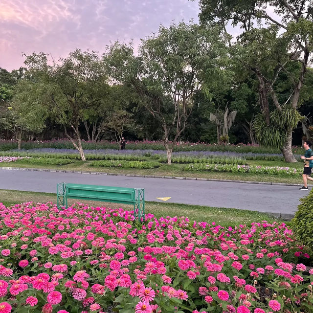 📍🌳 สวนหลวง ร.9 (MRT หัวหมาก สายสีเหลือง)