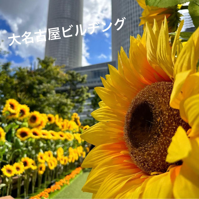 【愛知/名古屋】都会と自然のコラボ「大名古屋ビルヂングスカイガーデン」
