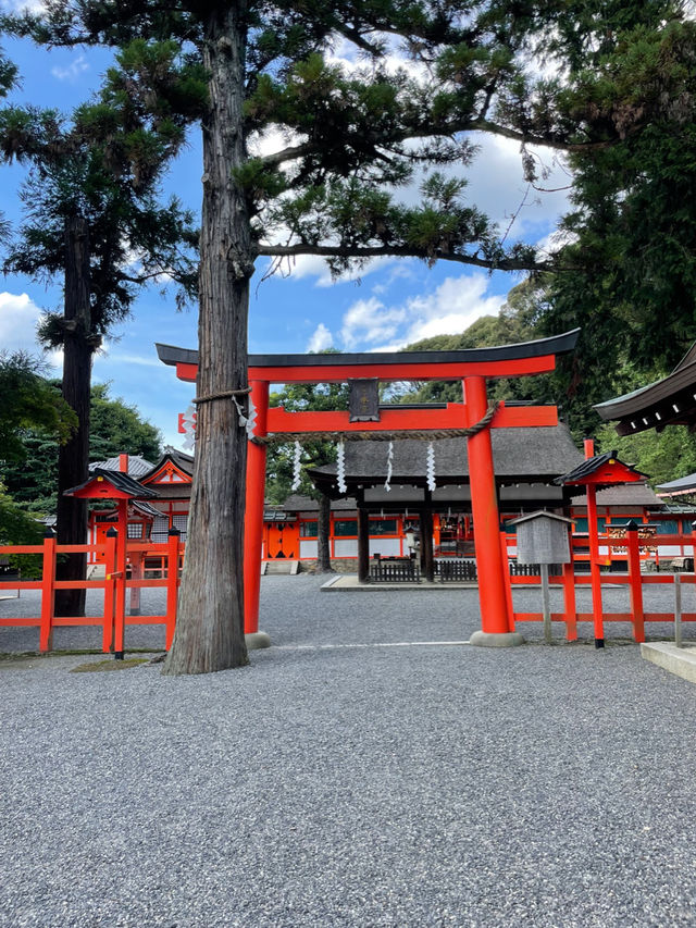 節分祭が有名！京大近くにある吉田神社⛩️