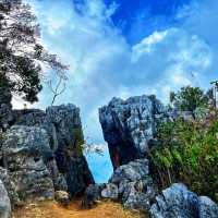 สัมผัสอากาศหนาว ชมวิว 360 องศา ที่ดอยผาตั้ง