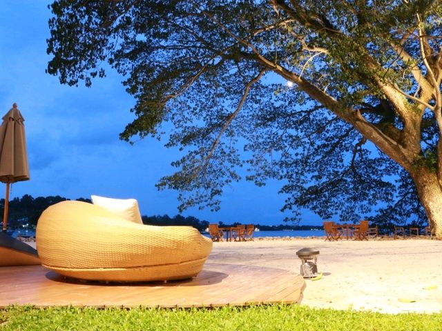 ดินเนอร์สุดหรู ณ Bambu beach club 