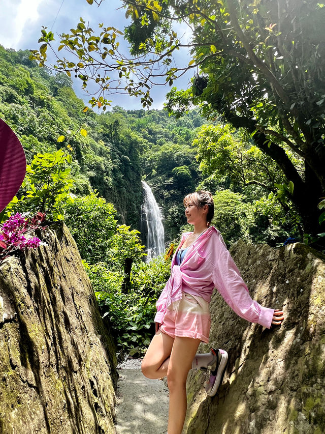 嘉義步道～滿滿芬多精！