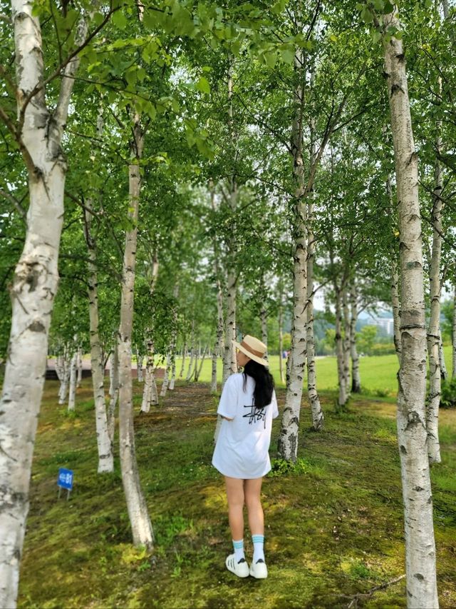 강원도 호캉스 명소로 추천하는 평창 리조트💚