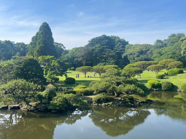 【東京】新宿御苑：櫻花季節必去景點🏖️，適合夏天遊玩🔥🔥