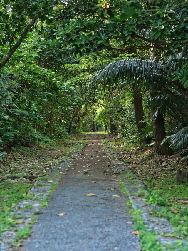 【沖縄】宮古島の絶景スポット