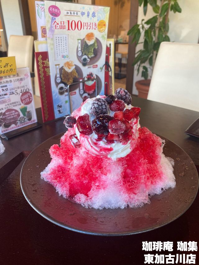 【加古川】衝撃780円！？これは一度食べてほしいかき氷（9/1までの期間限定価格）