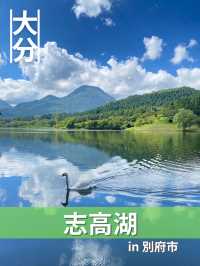 【大分/別府】遊び方いろいろ！別府のオアシス！