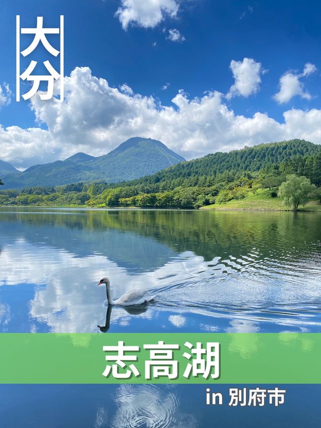 【大分/別府】遊び方いろいろ！別府のオアシス！