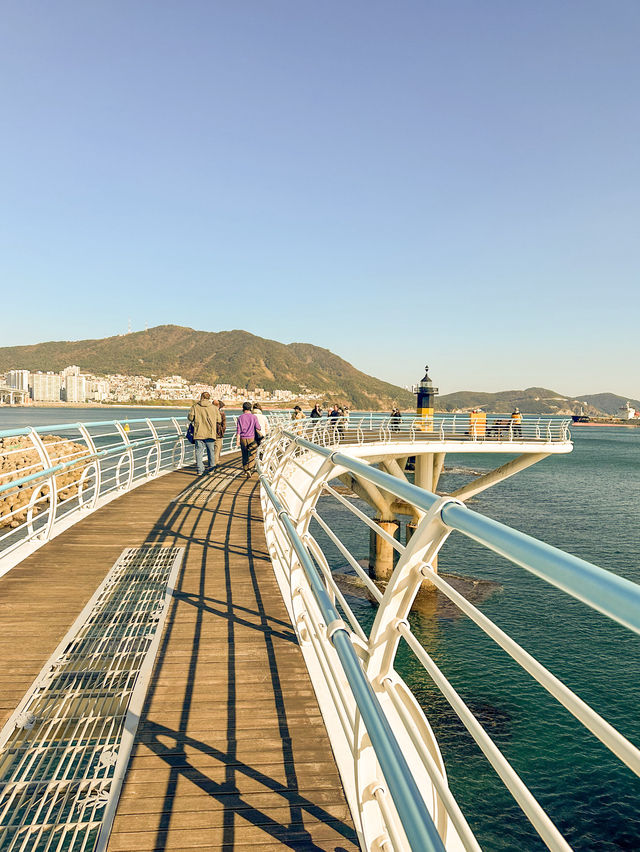 A Tranquil Escape in Busan 💙