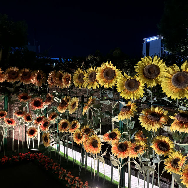 「名古屋夏季旅遊推薦：嚮日葵スカイガーデン2024，浪漫夢幻的金黃花海」