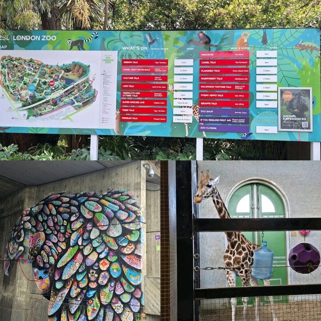 倫敦動物園：保存完好、有趣圍欄，豐富資訊