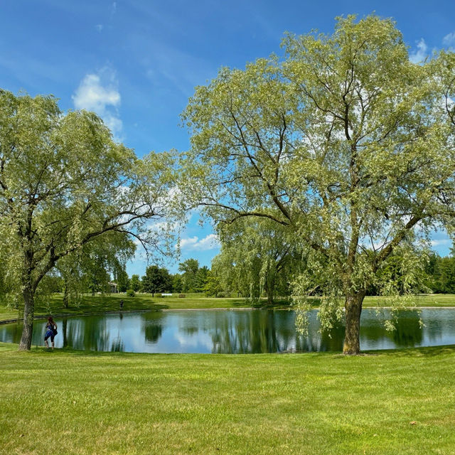古德來雕塑公園：現代藝術與湖景相映