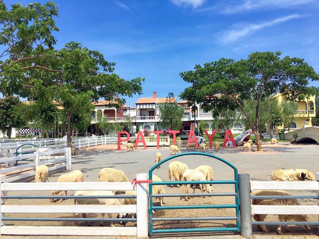 รีวิว Swiss Sheep 🐑 Farm (พัทยา) 
