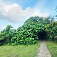 Rifle Range Nature Reserve: A Hidden Gem for Hikers 🇸🇬
