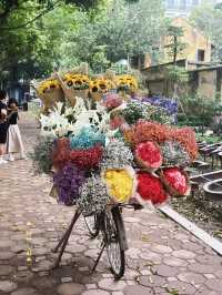 เดินเล่นชมทะเลสาปฮหว่านเกี๊ยม : ฮานอย 🇻🇳