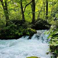 洛陽之滝：水晶明鏡般的美景