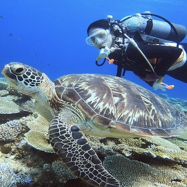 🤿 Diving into the Aquatic Wonderland of Okinawa 