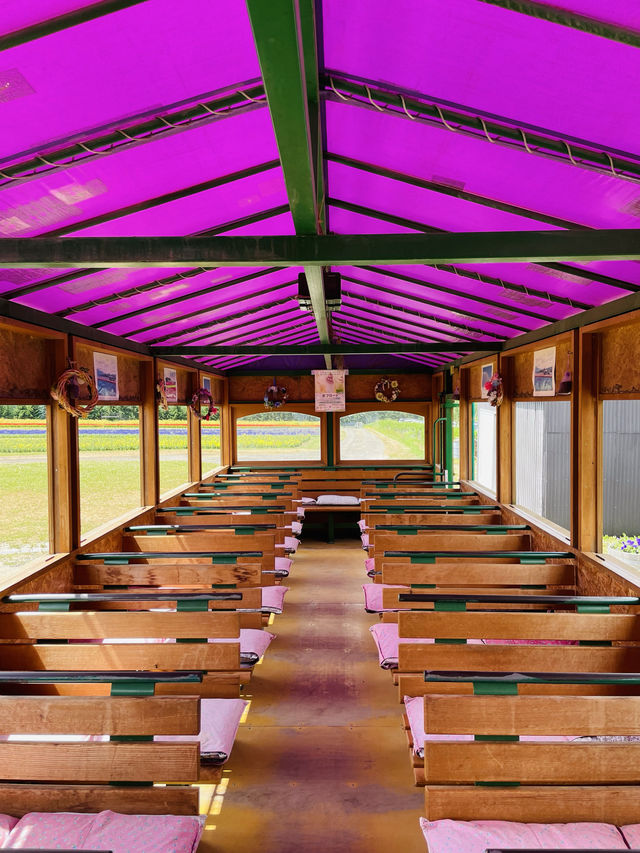 【北海道:上富良野】トラクターバスからのんびり景色を楽しむ「フラワーランドかみふらの」
