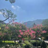 「安山星光村～懷舊韓屋村」
