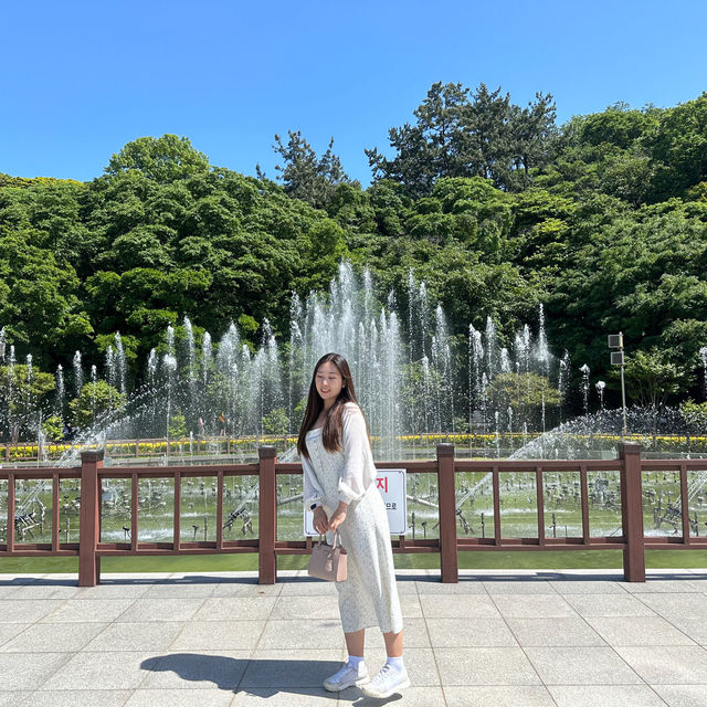 여름 여수여행의 꽃, 힐링 그 자체인 오동도🌺 용굴이랑 음악분수 앞 인생샷은 필수!