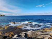 Seas the day with Bondi Coogee Coastal Walk