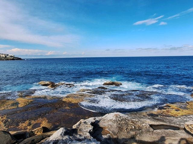 Seas the day with Bondi Coogee Coastal Walk