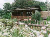 Mori Natural Farm โมริ เนเชอรัลฟาร์ม เชียงใหม่ 