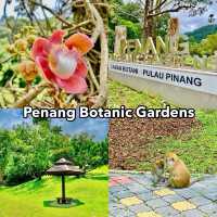 Serene Splendor at Penang Gardens