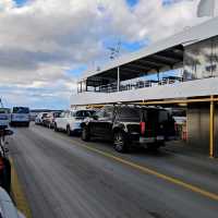 Road to Bruny Island: A Scenic Drive, Stunning Views, and Fresh Oysters Await