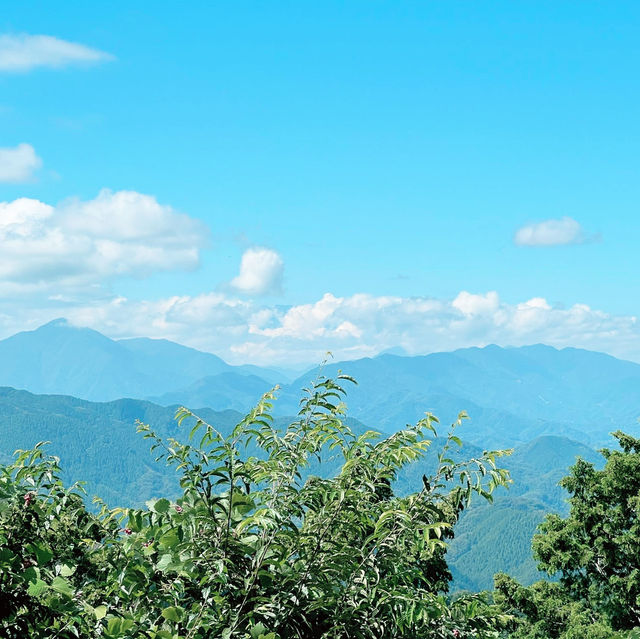 搭纜車：輕鬆上高尾山