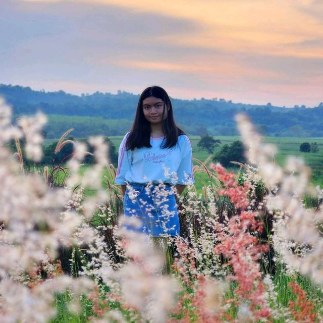 ลานกางเต็นท์วิวสวย