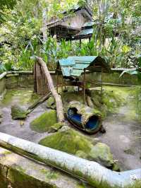 A Day at Deerland Park: Encountering Pythons and Other Animals