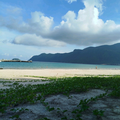 7. Phát triển thương hiệu và nhượng quyền Kem Dừa Côn Đảo