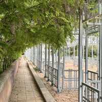Zisa Castle: A Glimpse into Palermo’s Arab-Norman Splendor