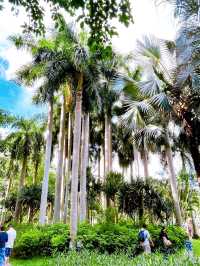 A Peaceful Escape in the City, Shenzhen Lizhi Park
