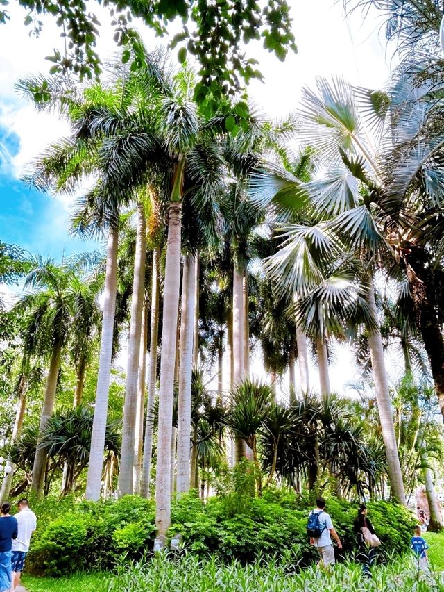 A Peaceful Escape in the City, Shenzhen Lizhi Park