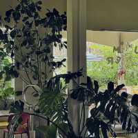 Summer Rain Cafe & Casual Dining