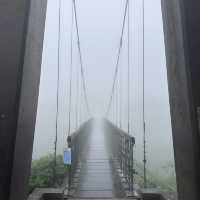 ［台北］在雲端漫步的陽明山公園