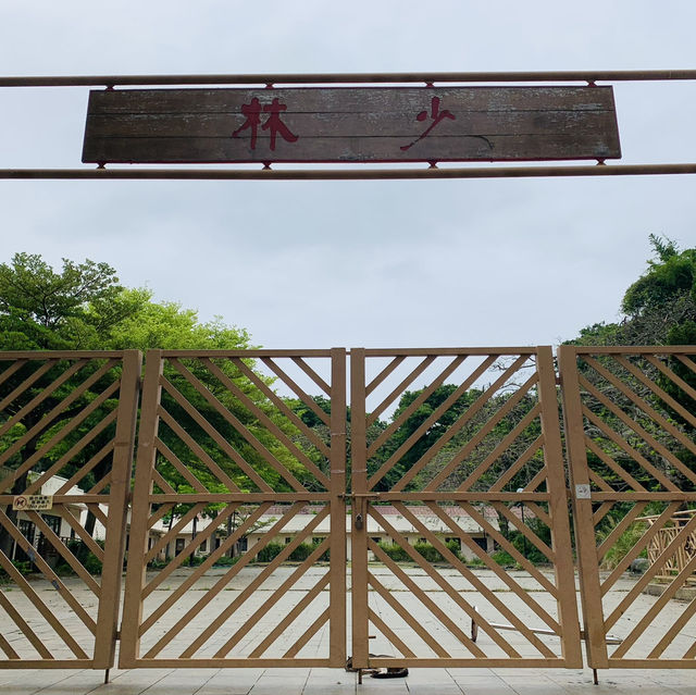 香港「貓島」： 大澳的水鄉風情之旅