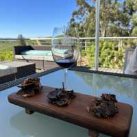 Sips in Stellenbosch: A Wine Lover's Paradise