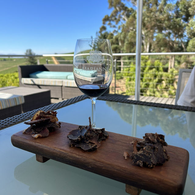 Sips in Stellenbosch: A Wine Lover's Paradise