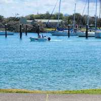 Local beach in Sunshine Coast