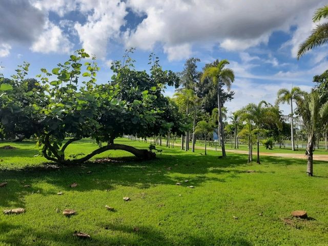 【烏隆他尼城市國家公園】網紅📸小黃鴨廣場，絕美湖泊