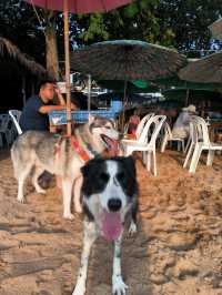 ไต๋อวน นาจอมเทียน อาหารทะเลราคาดีริมชายหาด