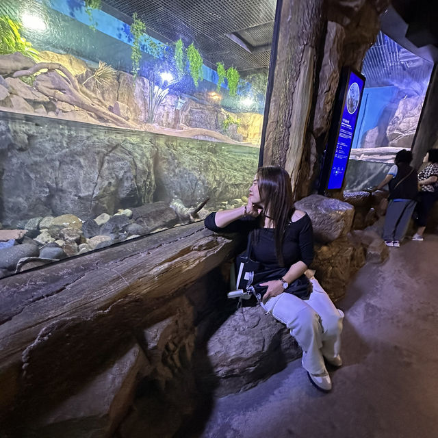 พิพิธภัณฑ์สัตว์น้ำเมืองปูซานะ🦑🦀🇰🇷