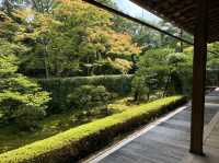 大本山妙心寺