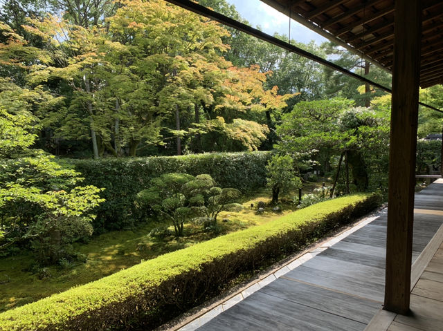 大本山妙心寺